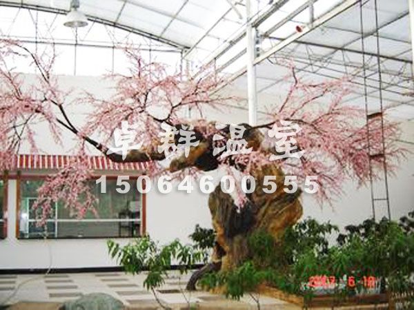 生態餐廳溫室