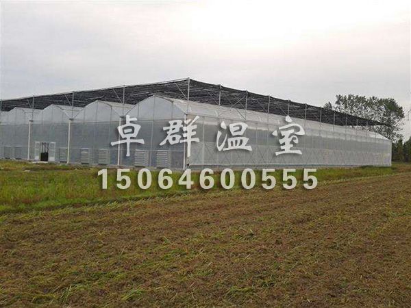 薄膜拱形溫室