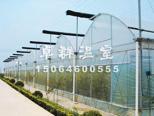 薄膜拱形溫室