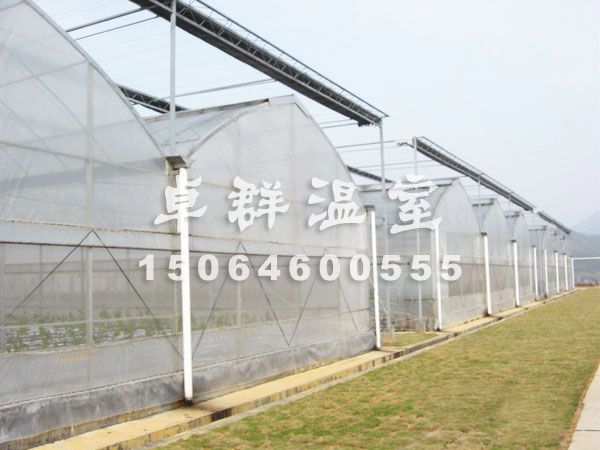 薄膜拱形溫室