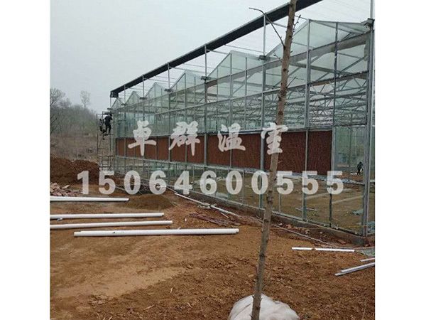 邵莊鎮生態餐廳溫室