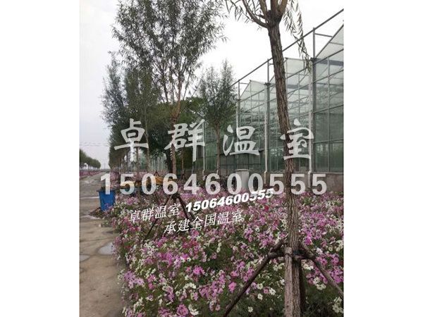 天津市西青區水生植物園
