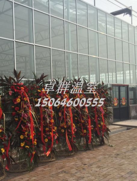 天津市西青區王穩莊鎮新品種展示溫室