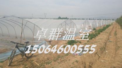 山西省忻州市忻府區秦鄉連棟薄膜溫室