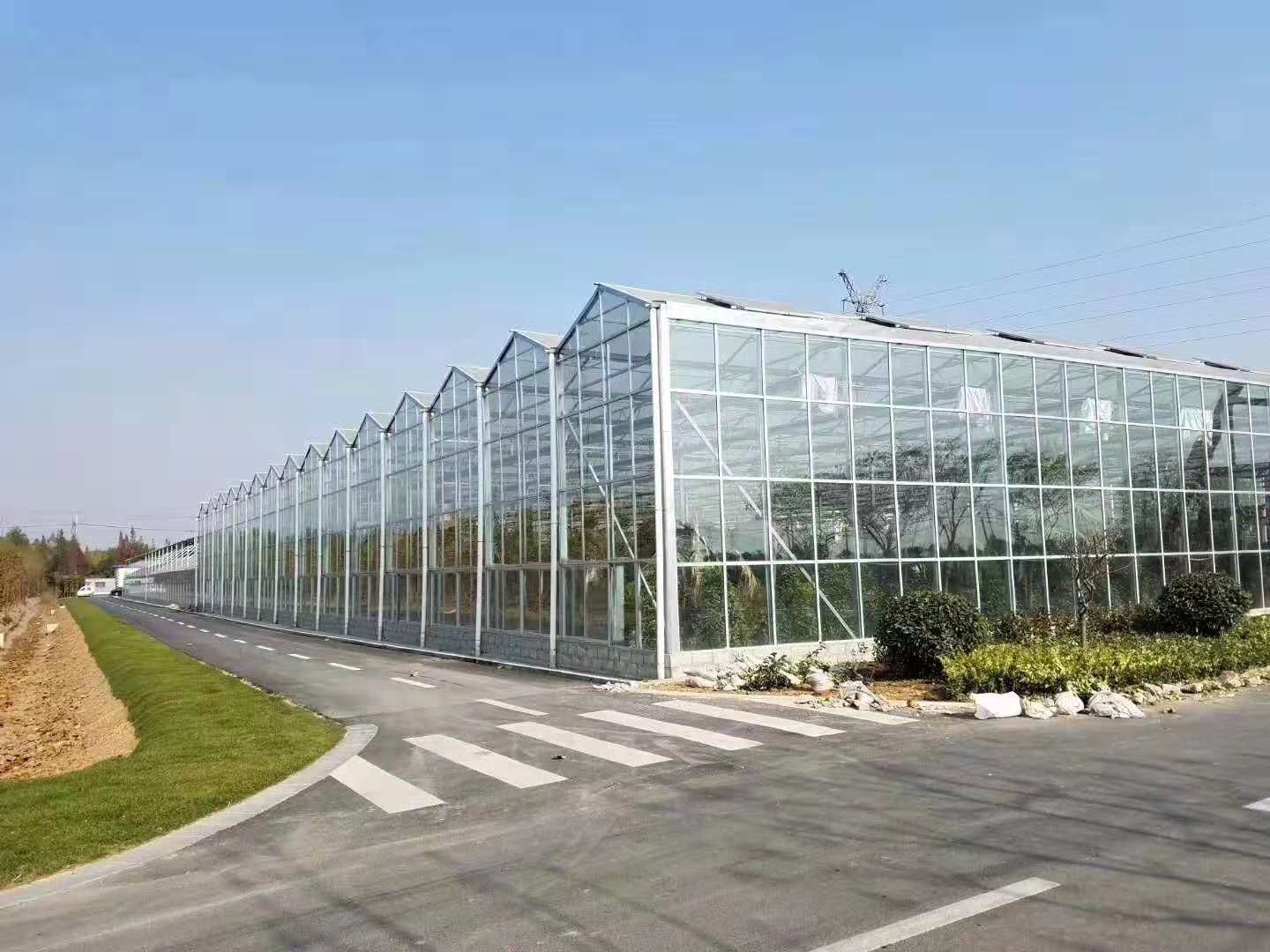 什么是智能溫室大棚？