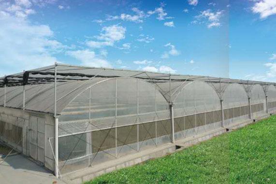 現(xiàn)在建造一個蔬菜溫室大棚大概需要多少錢?
