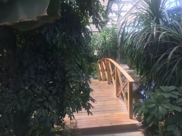 生態餐廳溫室