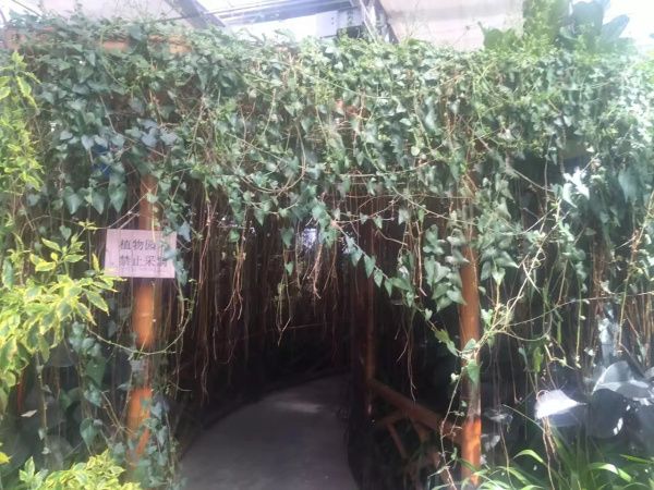 生態餐廳溫室