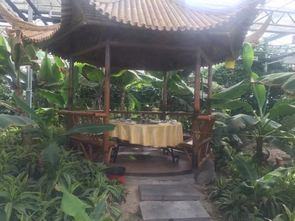  生態餐廳溫室