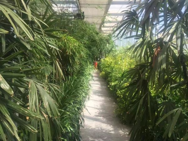 生態餐廳溫室