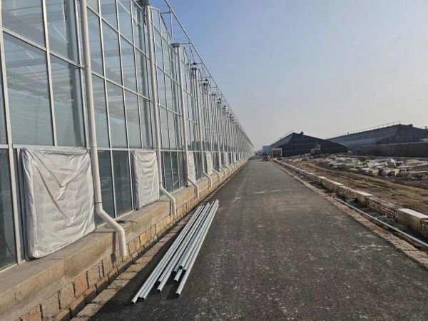 玻璃溫室