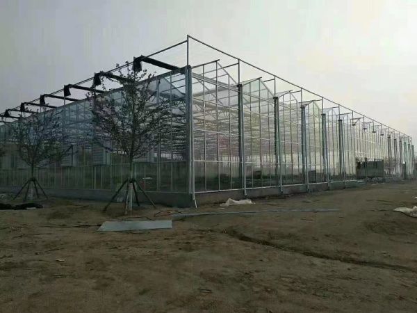 玻璃溫室